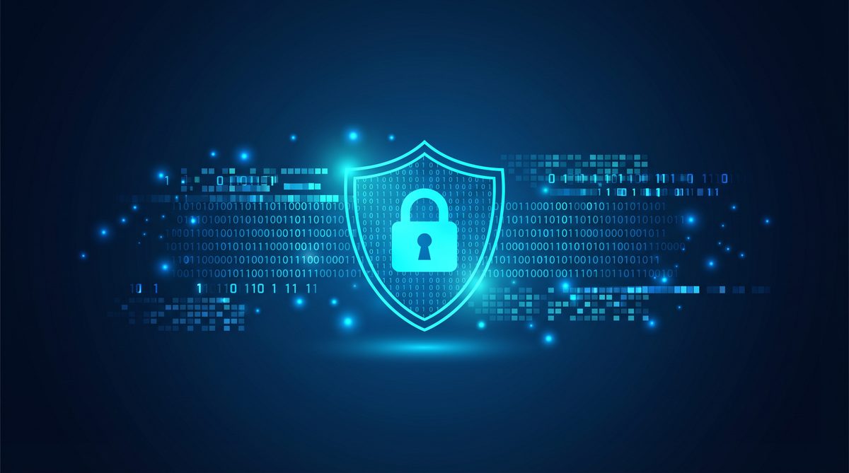 鸟和加速器隐私安全保护